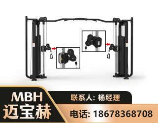 厦门大飞鸟训练器