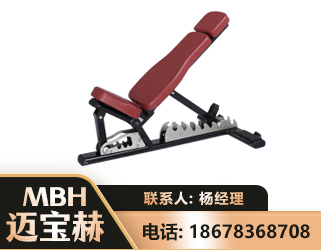 厦门可调哑铃椅